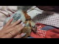 Как мы с бельчонком друг друга любим...!!! How the squirrel and I love each other