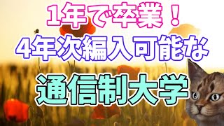 四年次編入可能な通信制大学【通信制大学の選び方】大手前大学、武蔵野大学、日本福祉大学、東京福祉大学、八洲学園大学、産業能率大学、星槎大学