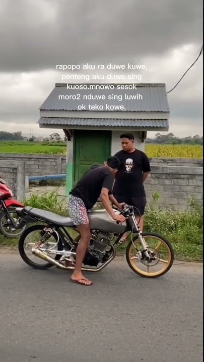 Story Wa Herex Tiger Terbaru keren||Literasi Terbaru.#fyp #story #shorts #storywa30detik #herex