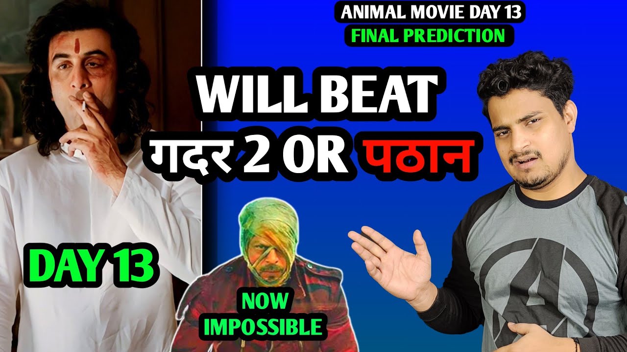Animal Movie Day 13 Final Prediction | Animal Day 13 Box Office Collection 