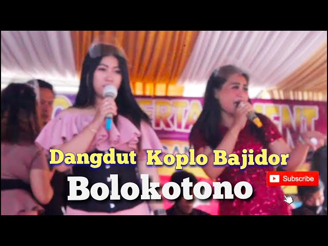 bolokotono dangdut koplo bajidor || versi NiCCO Entertaiment class=