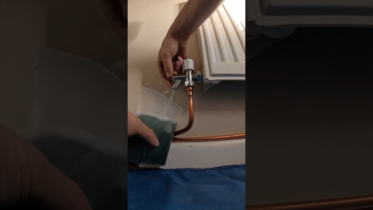 System in need of a flush! How to do it cheap! 