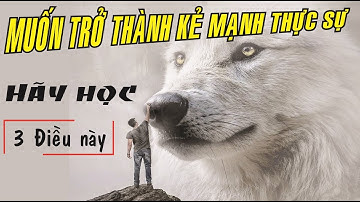 Muốn trở thành kẻ mạnh thực sự, hãy học Đường đi của SÓI, trí tuệ của CÁO và mưu lược của CHIM ƯNG