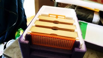 Mann Lake Mini matting nuke 2020 bee season