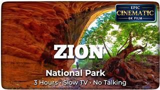 Entering Zion: Cinematic Drive & Panoramic Nature Sanctuary | 3 Hours 4K Slow TV