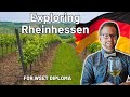 Exploring Germany's Rheinhessen Wines for WSET Diploma