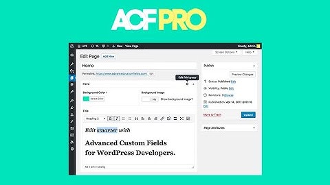 WordPress自定义字段Advanced Custom Fields Pro（ACF）下载和使用视频