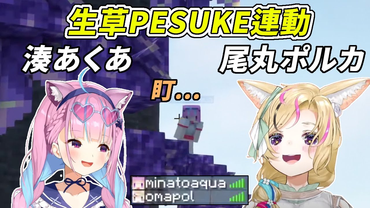 【Hololive中文】(雙視角)阿夸與尾丸挑戰pesuke的生草精華【湊あくあ & 尾丸ポルカ】
