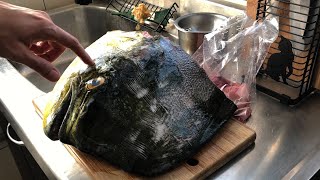 鬼頭刀魚頭分解&amp;醬燒雜菜 Clean and cook a big mahi-mahi&#39;s head