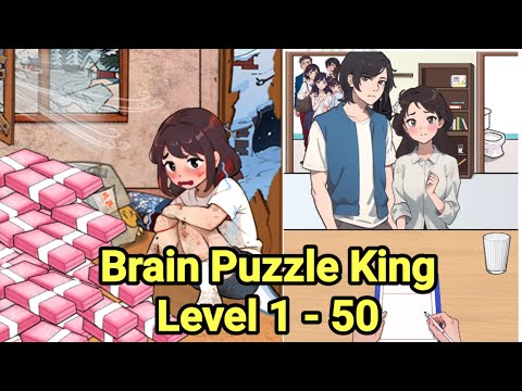 Brain Puzzle King All Levels 1 - 50 Walkthrough Solution