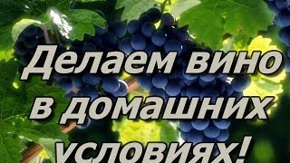 Делаем Вино в Домашних условиях Делаем Вино в Домашних условиях