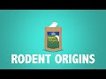 Origins Range: Rodent Origins