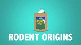 Origins Range: Rodent Origins