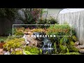 Water gardens on the best of oklahoma gardening january 20 2024