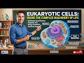 Lecture 13 | Eukaryotic Cells | Inside the Complex Machinery of Life