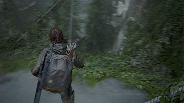 The Last of Us Part II Part 22