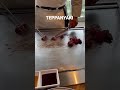 Okinawa Teppanyaki