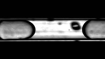 microfluidic elveflow droplet stream in tube LONG