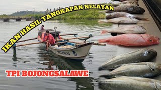 Nelayan Pulang Melaut Melelang Ikan Hasil Tangkapan Ke Tpi Bojongsalawe