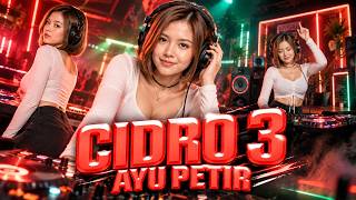Download lagu Cidro 3 - Ayu Petir | SKI Records