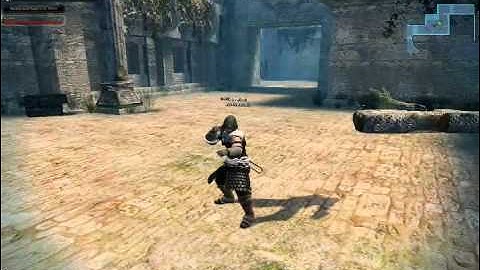 wierd vindictus glitch(read description)