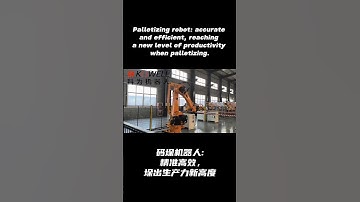 Palletizing robot: accurate and efficient, reaching a new level of productivity when palletizing.