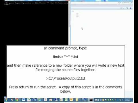 Windows Command to Combine Multiple Text Files & Add Name of Each to Beginning of Its Contents