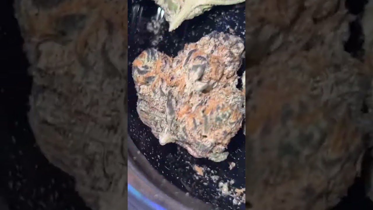 This Oz was so expensive 