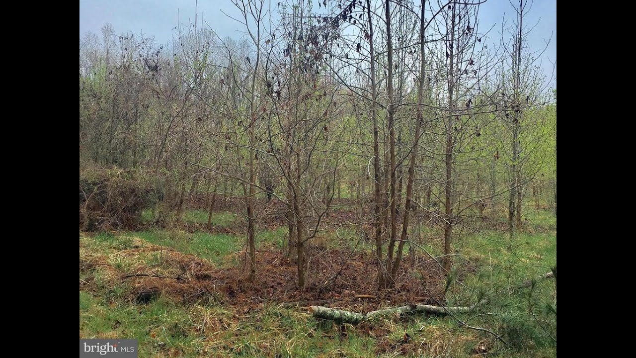 Lots And Land for sale 13619 Woodmore Road, Bowie, MD 20721 YouTube