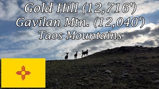 Traversing New Mexico's High Country - Gold Hill and Gavilan Mountain - Red River, New Mexico