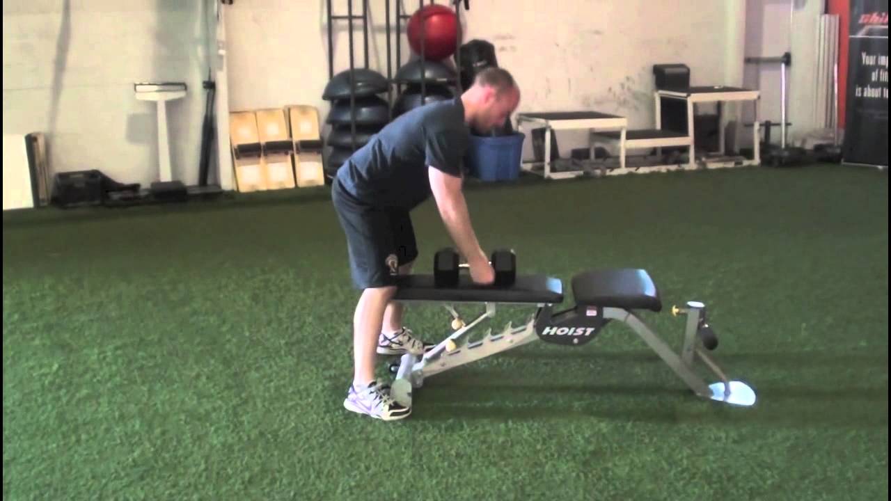 Single Arm Dumbbell Row Viking Strength Systems YouTube