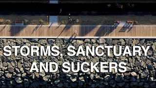Storms, Sanctuary and Suckers - Great Lakes Now Full Episode - 1026