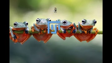 DeepImageJ practical introduction # version 1.2.0