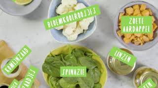 Frequin Servero Buddha Bowl