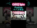 #shorts #pipeline #ベンチャーズ #CherrySpice【PIPELINE】ベース叩き The Ventures🍒 Haruka with Cherry Spice(ショート1)