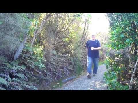 Mt Cargill & Organ Pipes Track