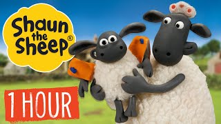 1 HOUR Compilation | Episodes 110 | Shaun the Sheep S1