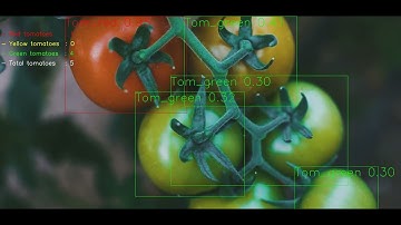 Test 3 : YOLO (AFI NMS)