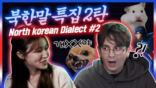North Korean Dialect Part 2! Diving into N.Korean words from my defector friend Nara(So different)