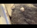 スマートフォンが使えません