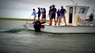 Trawling With The Field Station: Letting Out The Net
