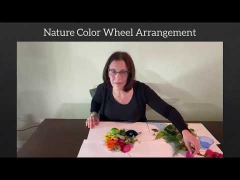 SHARP Focus on STEAM - Nature Color Wheel