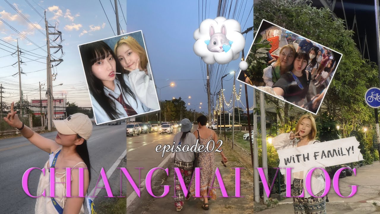 치앙마이 한달살이 | ✶대자연 몬쨈 투어부터 코끼리 보호소까지 완벽 코스✶🐘🌿 몬쨈, 싼캄펭 온천, 코끼리 보호소, 노스게이트 펍, 인생로띠 | ep.2