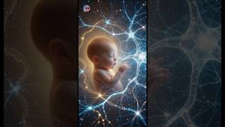 How Sound Helps Build a Baby’s Brain 🧠👶