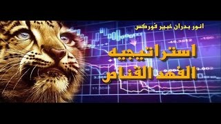 فوركس |  الفهد القناص الجزء الثاني