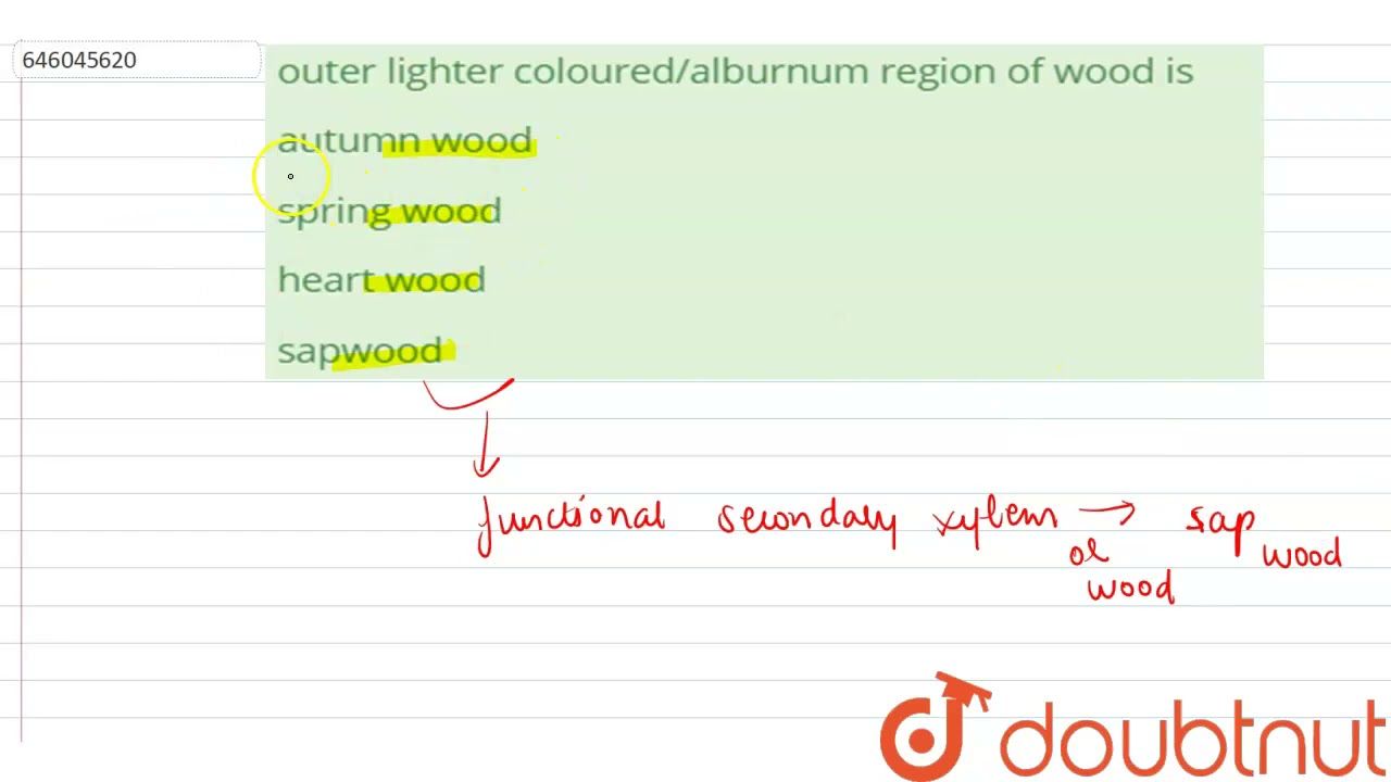 outer lighter coloured/alburnum region of wood is  | 12 | ANATOMY OF PLANT PARTS | BIOLOGY | DIN...