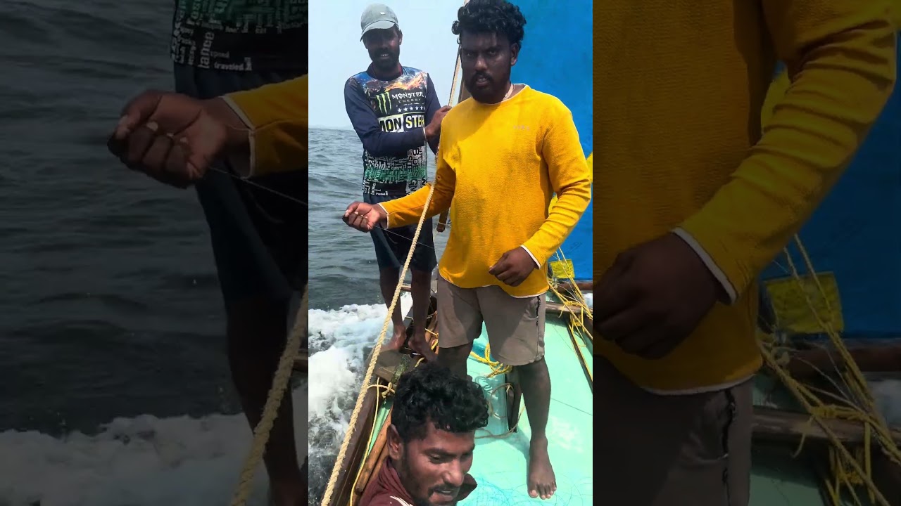#Fishing videos#🦈🐟🦑###🐬🦀🦐🐠