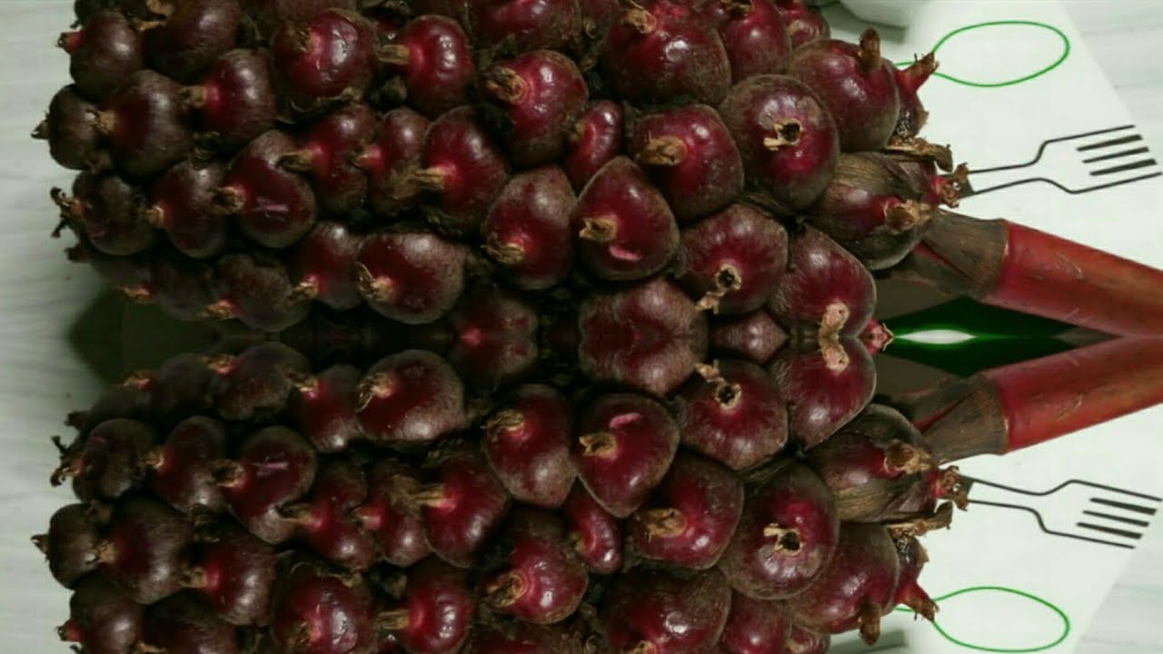 BELAJAR||CARA MEMBUAT JUS HONJE LAKA #KHASPANGANDARAN 