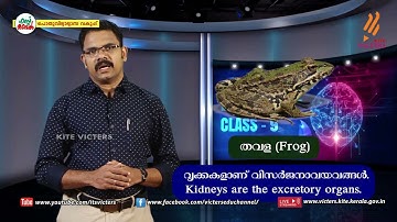 KITE VICTERS STD 09 Biology Class 33 (First Bell-ഫസ്റ്റ് ബെല്‍)
