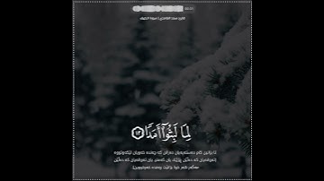 سعد الغامدي | حالات واتس اب دينية سورة الكهف 🥰🦋